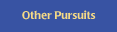 Other Pursuits