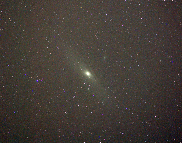 M31