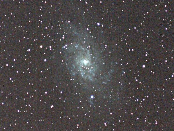 M33