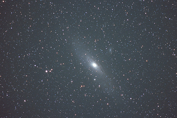 M31