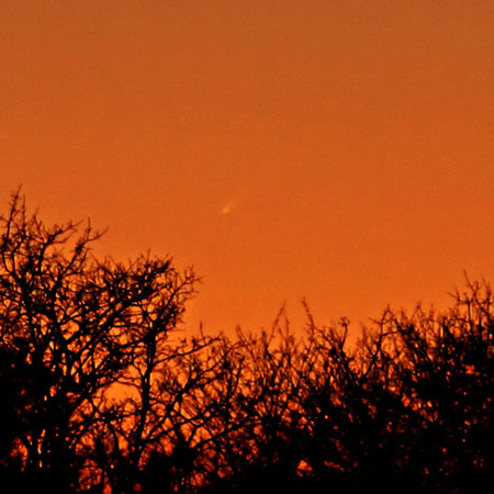 Comet McNaught