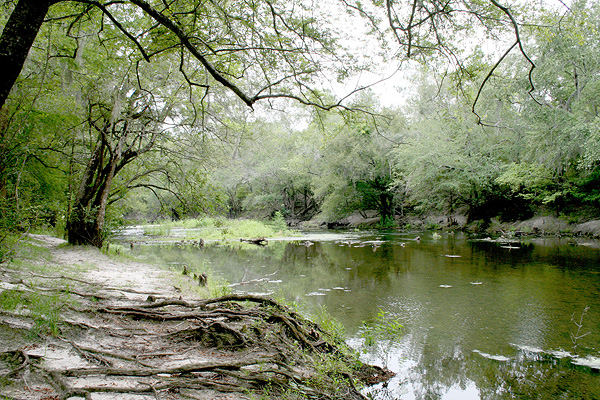 Withlacoochee River