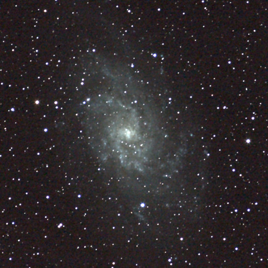 M33