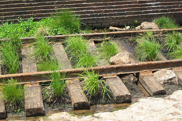 Athens town spring